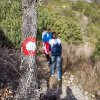 HODOČASNIČKI