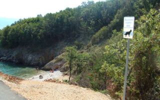 Plaža-za-pse-03814