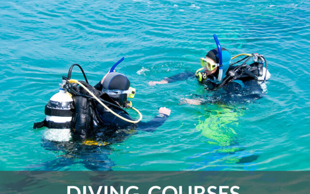 diving-courses-dive-loft-krk-croatia
